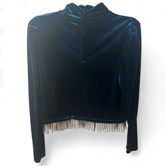 JOIE Women's Velvet Mock Neck Long Sleeve Rhinestone Fringe Crop Top - Picture 3 of 5